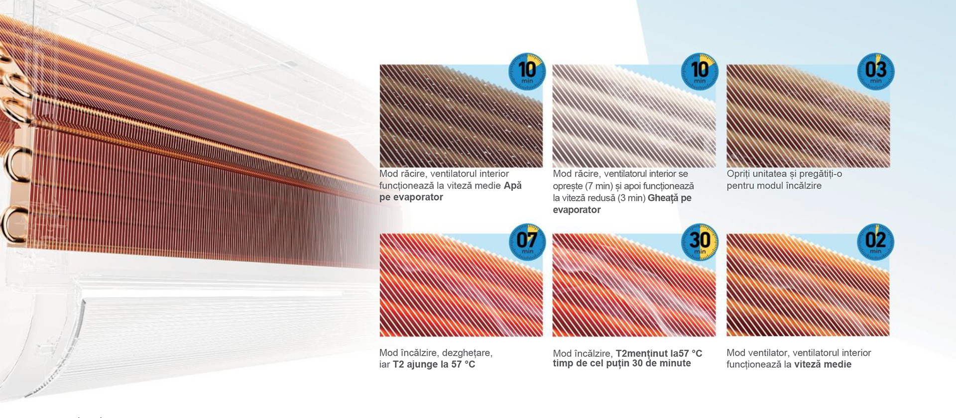 Funcția 56°C-Clean - Proces de curățare